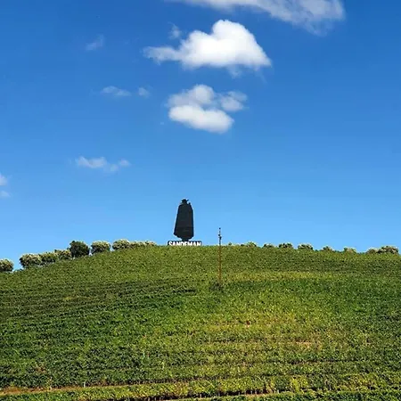 בית נופש Comfortable House In With Unfenced Garden *