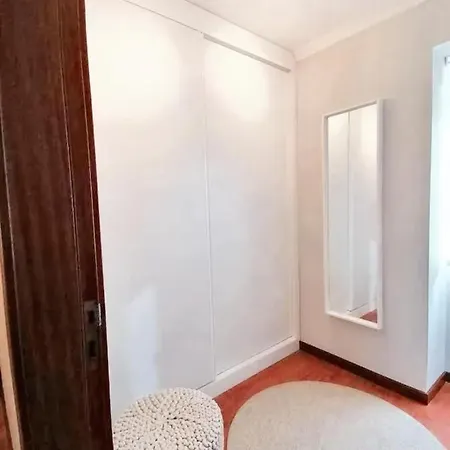 Comfortable House In With Unfenced Garden Lamego