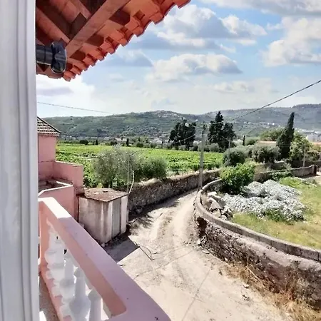 Ferienhaus Comfortable House In With Unfenced Garden Lamego