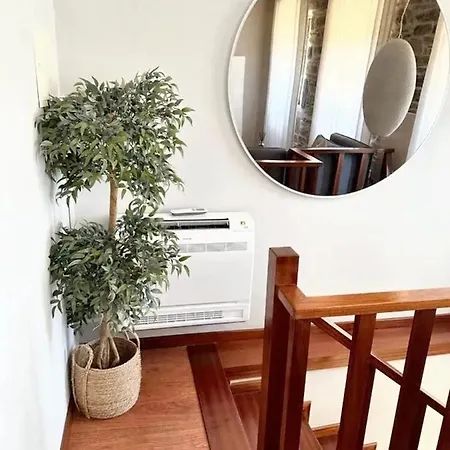 Comfortable House In With Unfenced Garden Lamego