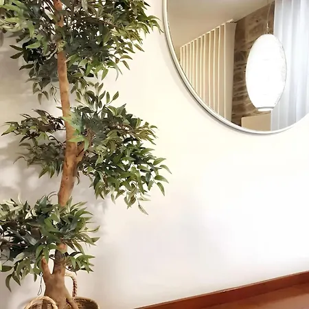 Comfortable House In With Unfenced Garden