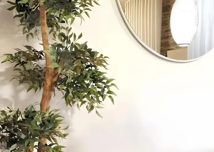 Comfortable House In With Unfenced Garden * Lamego