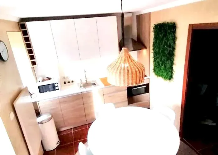 Comfortable House In With Unfenced Garden Сasa de vacaciones Lamego