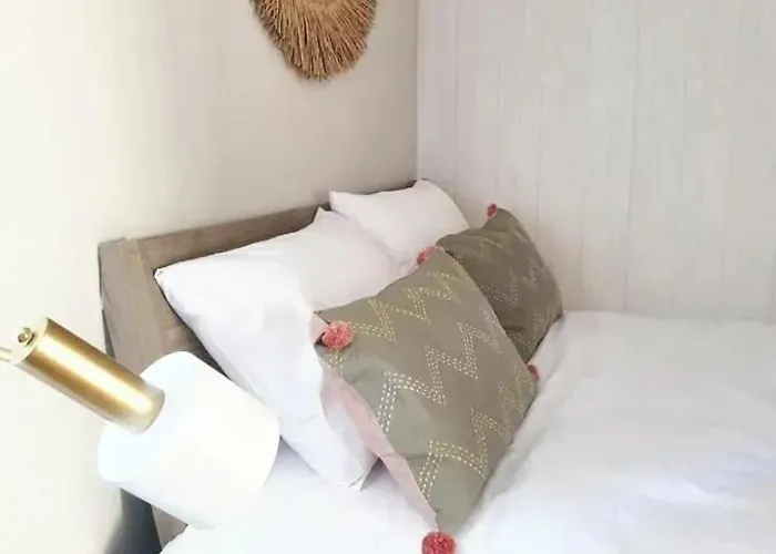 Comfortable House In With Unfenced Garden Lamego