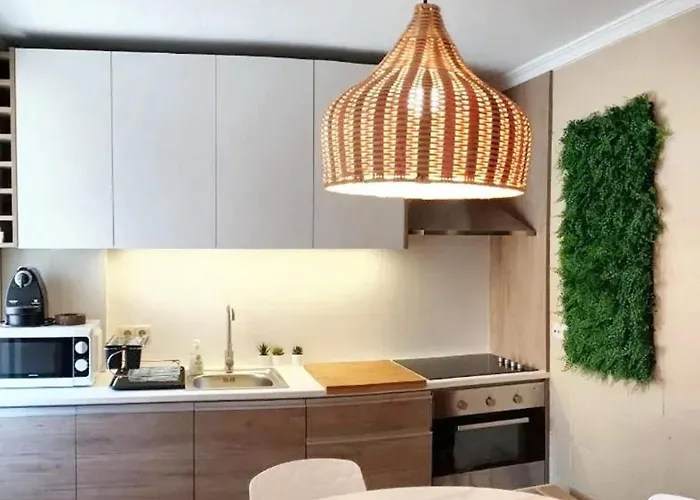 Comfortable House In With Unfenced Garden * Lamego