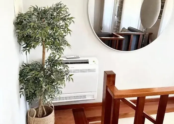 Comfortable House In With Unfenced Garden Lamego